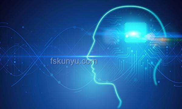 马斯克最新发声揭示科技行业变革，聚焦AI与脑机接口
